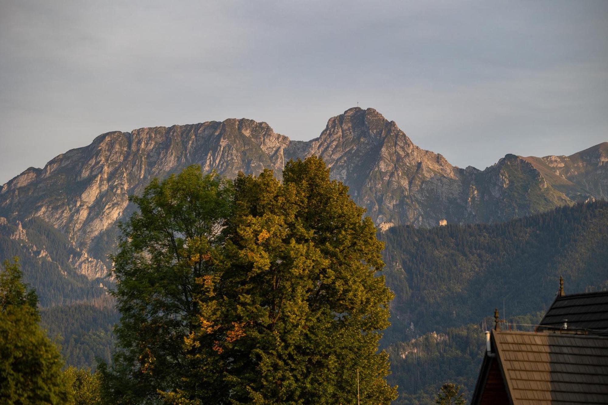 Mocarni Apartment *